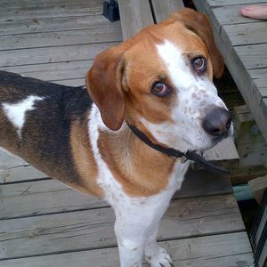 Meet your Posher, Sherry